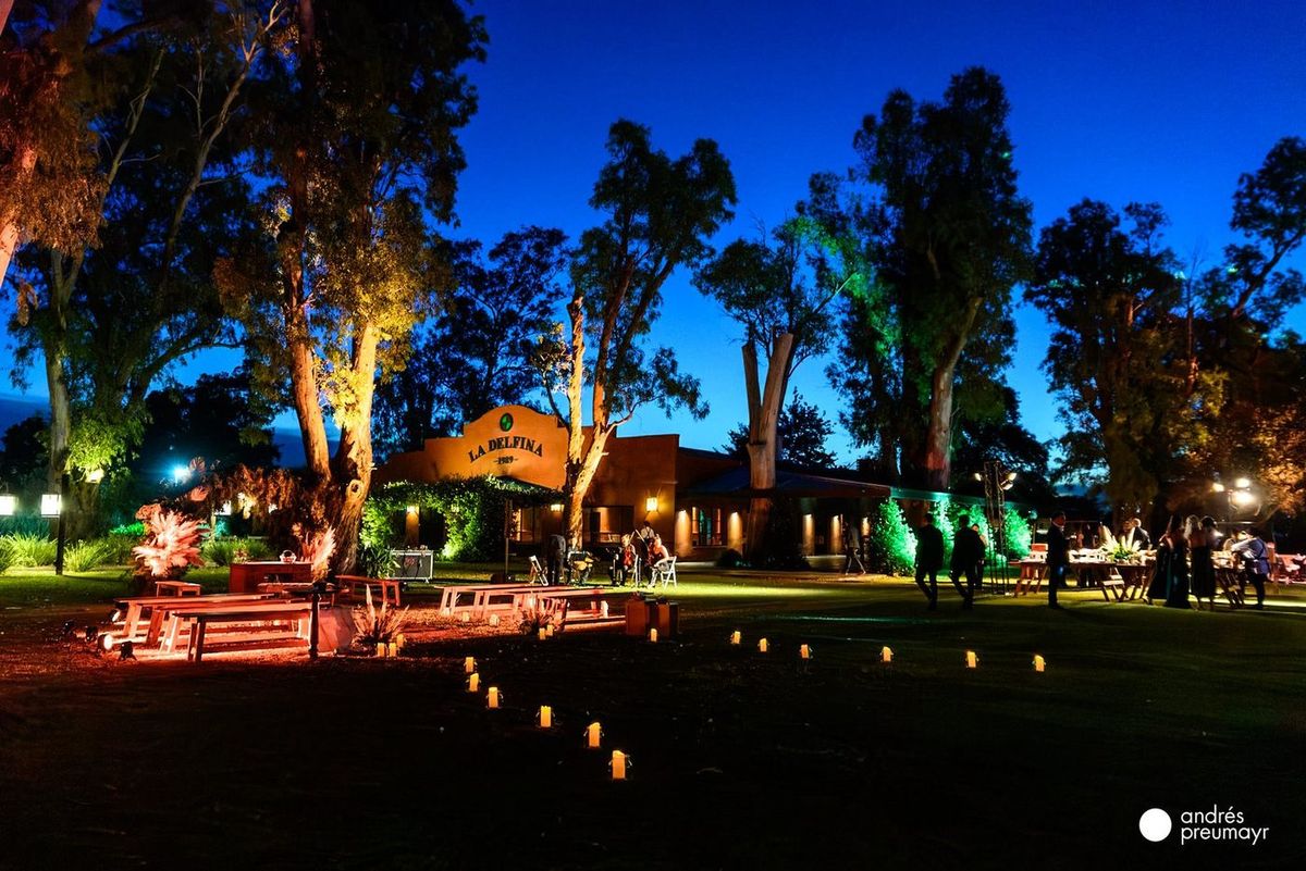 El parque de La Delfina de noche, con velas, camino iluminado y &aacute;rboles con luz de color
