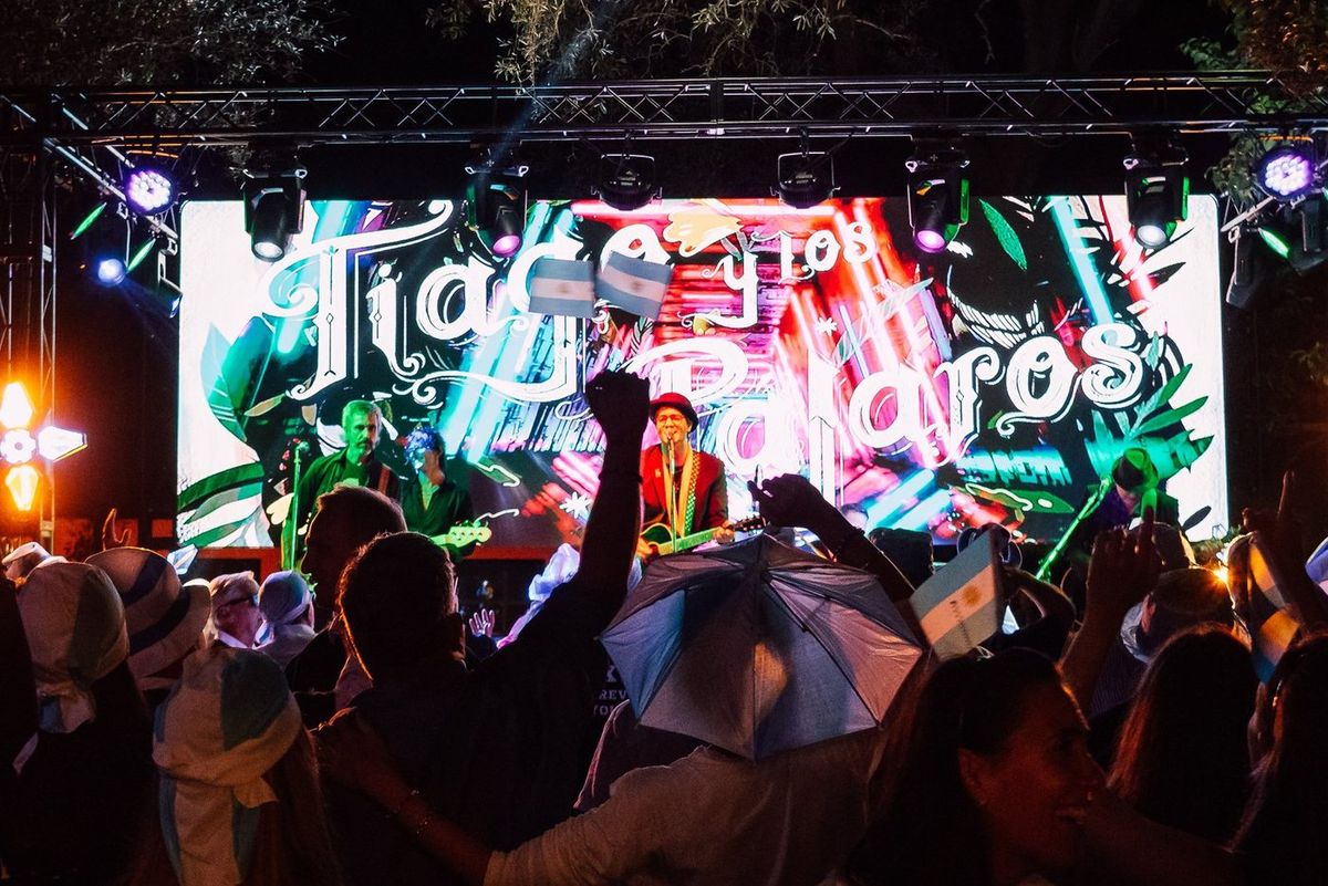 P&uacute;blico bailando de noche frente al escenario iluminado con banderas argentinas