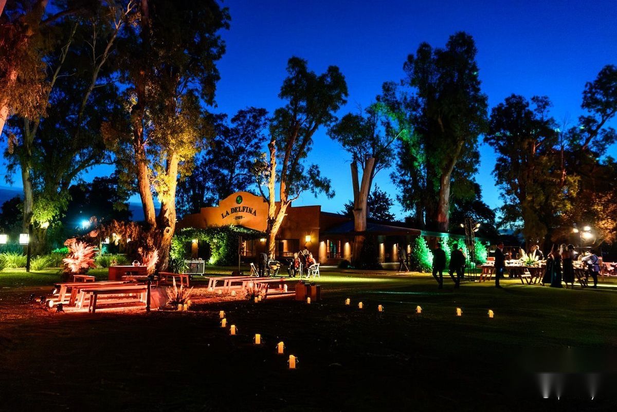 Parque iluminado con luz perimetral y guirnaldas