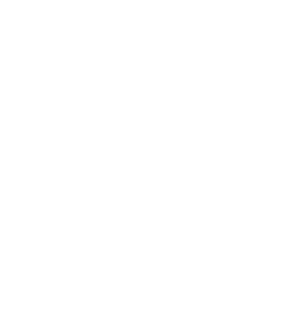 GS Técnica